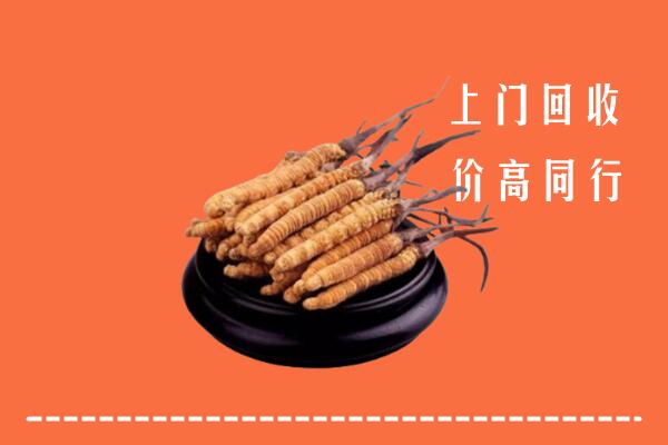 岫岩县回收散虫草