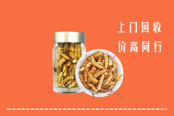 岫岩县回收冬虫夏草